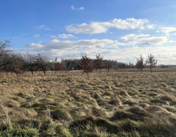 Morizon WP ogłoszenia | Działka na sprzedaż, Strojec, 13205 m² | 8799