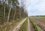 Morizon WP ogłoszenia | Działka na sprzedaż, Stare Gnatowice, 1100 m² | 2245