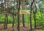Morizon WP ogłoszenia | Działka na sprzedaż, Borzęcin Duży, 3200 m² | 3677