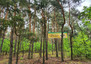 Morizon WP ogłoszenia | Działka na sprzedaż, Borzęcin Duży, 3200 m² | 3677