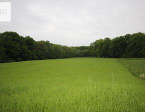 Działka na sprzedaż, Braciejowa, 19864 m²