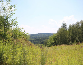 Działka na sprzedaż, Podgrodzie, 33000 m²