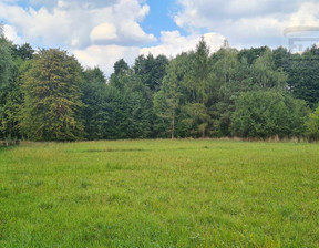 Działka na sprzedaż, Krakowiany, 4800 m²