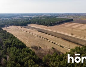 Działka na sprzedaż, Rogożek, 140000 m²