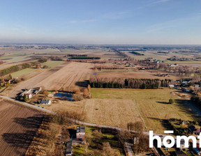 Działka na sprzedaż, Nieborów Spacerowa, 8600 m²