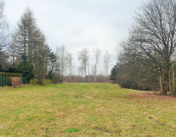 Morizon WP ogłoszenia | Działka na sprzedaż, Zakrzów, 2900 m² | 0280