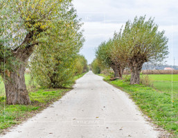 Morizon WP ogłoszenia | Działka na sprzedaż, Niepruszewo Leśna, 3788 m² | 5429