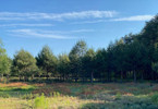 Morizon WP ogłoszenia | Działka na sprzedaż, Leontyna, 1410 m² | 2209