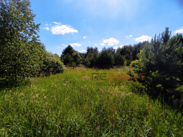Morizon WP ogłoszenia | Działka na sprzedaż, Tomaszew, 3100 m² | 6075