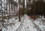Morizon WP ogłoszenia | Działka na sprzedaż, Stary Łajszczew, 9740 m² | 8976