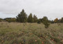 Morizon WP ogłoszenia | Działka na sprzedaż, Siedlec Kostrzyńska, 7105 m² | 0853