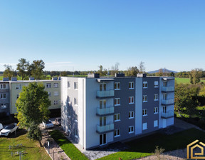 Mieszkanie do wynajęcia, Zgorzelecki (pow.), 56 m²