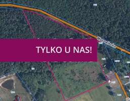 Morizon WP ogłoszenia | Działka na sprzedaż, Dobiesz, 32300 m² | 6023