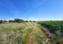 Morizon WP ogłoszenia | Działka na sprzedaż, Czarnowo, 1380 m² | 3670