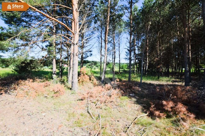 Morizon WP ogłoszenia | Działka na sprzedaż, Wałdowo Królewskie, 1192 m² | 6165