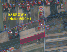 Działka na sprzedaż, Dąbrowa, 5500 m²