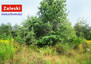 Morizon WP ogłoszenia | Działka na sprzedaż, Warzenko Leszczynowa, 971 m² | 9475