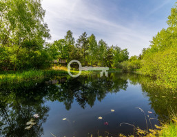 Morizon WP ogłoszenia | Działka na sprzedaż, Konstancin-Jeziorna, 8616 m² | 4024