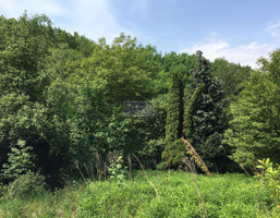 Morizon WP ogłoszenia | Działka na sprzedaż, Zabawa, 6800 m² | 0065
