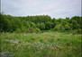 Morizon WP ogłoszenia | Działka na sprzedaż, Baranówka, 6000 m² | 2229