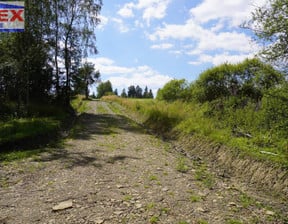 Działka na sprzedaż, Nowica, 3348 m²