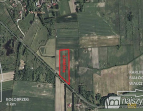 Działka na sprzedaż, Stramnica, 3200 m²