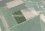Morizon WP ogłoszenia | Działka na sprzedaż, Kołata, 4597 m² | 2287