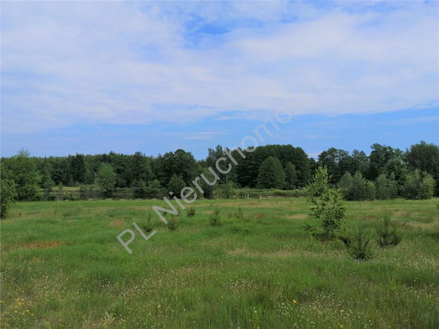 Morizon WP ogłoszenia | Działka na sprzedaż, Waliska, 1016 m² | 6278