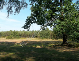 Morizon WP ogłoszenia | Działka na sprzedaż, Cisówka, 2600 m² | 9217