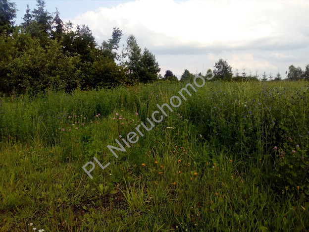 Morizon WP ogłoszenia | Działka na sprzedaż, Cisówka, 3200 m² | 9252