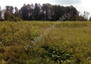 Morizon WP ogłoszenia | Działka na sprzedaż, Gągolina, 4500 m² | 4493