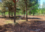 Morizon WP ogłoszenia | Działka na sprzedaż, Zamienie, 843 m² | 6133