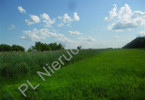 Morizon WP ogłoszenia | Działka na sprzedaż, Jeruzal, 18000 m² | 8634