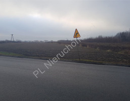 Morizon WP ogłoszenia | Działka na sprzedaż, Domaniew, 25700 m² | 8591