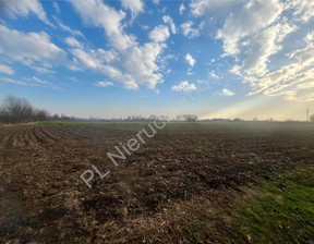 Działka na sprzedaż, Plewniak, 5000 m²