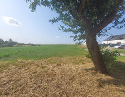 Morizon WP ogłoszenia | Działka na sprzedaż, Śródka, 1800 m² | 2536