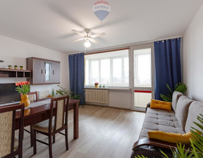 Mieszkanie do wynajęcia, Zielona Góra Marii Skłodowskiej-Curie, 51 m²