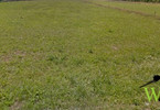 Morizon WP ogłoszenia | Działka na sprzedaż, Połomia, 3786 m² | 8422
