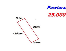 Morizon WP ogłoszenia | Działka na sprzedaż, Gruszczyn, 25000 m² | 4338