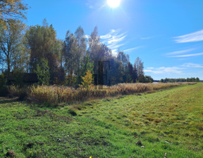 Działka na sprzedaż, Dębe Wielkie, 890 m²