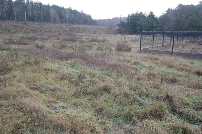Morizon WP ogłoszenia | Działka na sprzedaż, Zielonka, 2000 m² | 3488