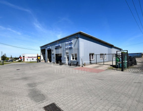 Lokal użytkowy na sprzedaż, Susz Prabucka, 350 m²