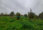 Morizon WP ogłoszenia | Działka na sprzedaż, Brwinów, 15722 m² | 4929