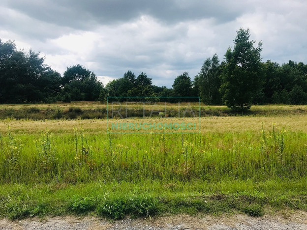 Morizon WP ogłoszenia | Działka na sprzedaż, Powązki, 3900 m² | 9220