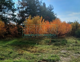 Morizon WP ogłoszenia | Działka na sprzedaż, Piotrkowice, 24000 m² | 1133