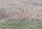 Morizon WP ogłoszenia | Działka na sprzedaż, Święta Katarzyna, 24200 m² | 4798