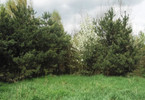 Morizon WP ogłoszenia | Działka na sprzedaż, Gąski Ogrodowa, 3000 m² | 7306