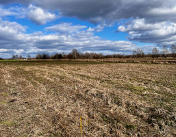 Morizon WP ogłoszenia | Działka na sprzedaż, Wyględy, 938 m² | 9889