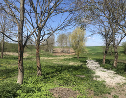Morizon WP ogłoszenia | Działka na sprzedaż, Wójtostwo, 4500 m² | 2026