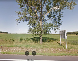 Morizon WP ogłoszenia | Działka na sprzedaż, Golęczewo, 360000 m² | 1497